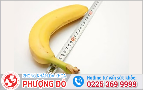 da khoa phuong do