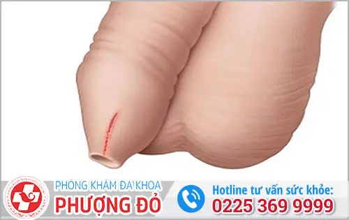 da khoa phuong do