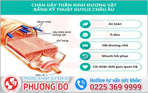 da khoa phuong do