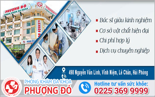 Chất lượng dịch vụ ở Phòng Khám Đa Khoa Phượng Đỏ